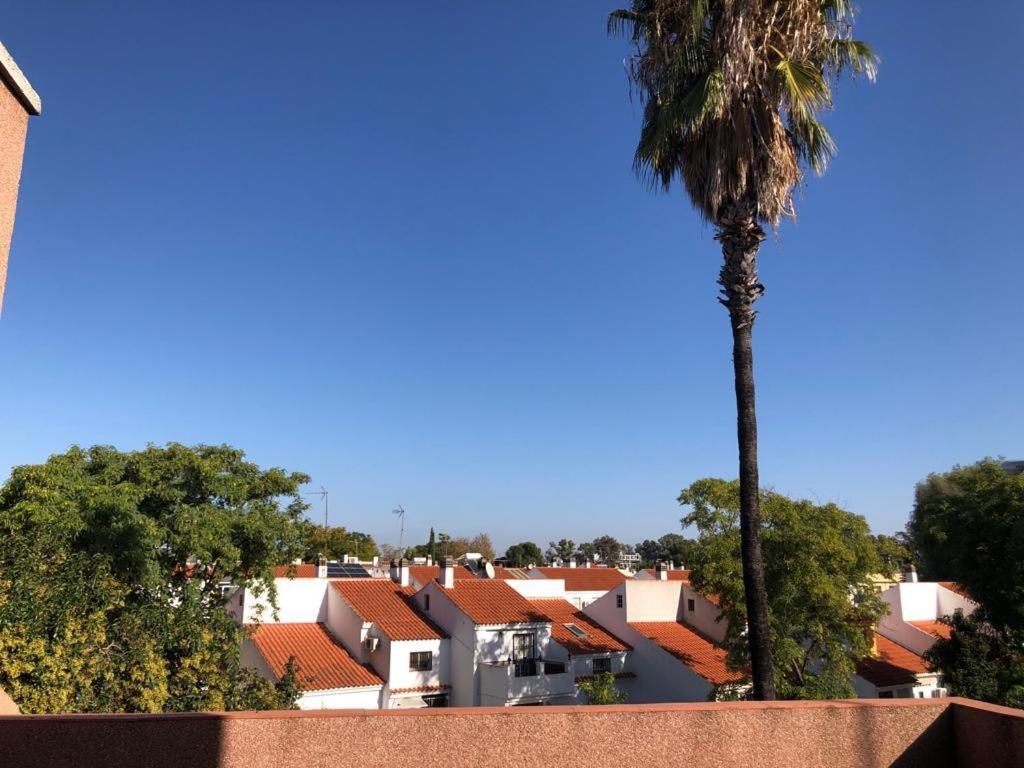 Familia Anfitriona Acoge Terraza Apartment Seville Exterior photo